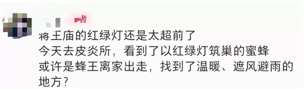 南京一红绿灯遭蜜蜂围攻 绿灯变黄灯 当地回应:或因花开时节蜜源充足