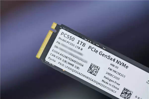 长江存储首款商用PCIe 5.0 SSD!PC550 1TB图赏