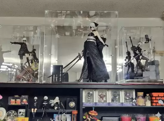 日本男子遵亡妻遗愿不找女人 爆买美少女手办寻救赎