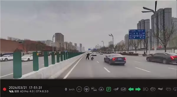 惊险瞬间!小孩闯入快车道 理想车主紧急停车飞奔救人