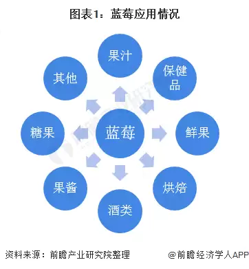 图表1：蓝莓应用情况