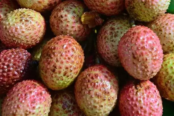 爱吃荔枝的人天塌了:热门品种减产严重