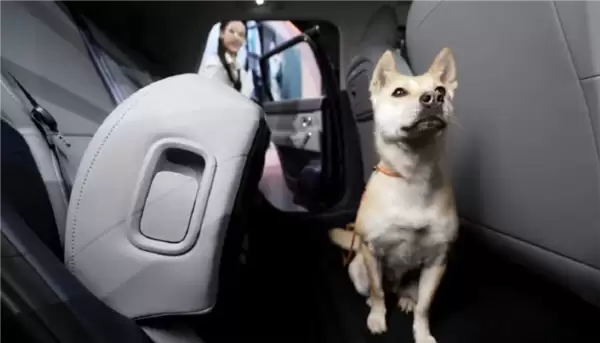 小车也有大空间!零跑A10得房率88.1%:首创106L可冲洗下沉储物舱