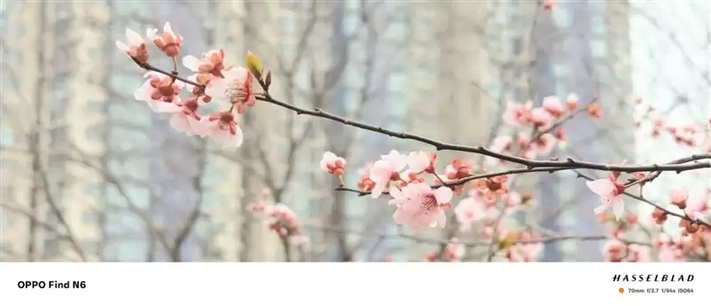 折叠屏再无折痕顾虑!OPPO Find N6手机评测:超平展内屏开创历史 哈苏XPAN模式体验胶卷荣光