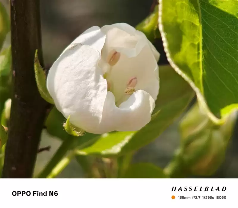 折叠屏再无折痕顾虑!OPPO Find N6手机评测:超平展内屏开创历史 哈苏XPAN模式体验胶卷荣光