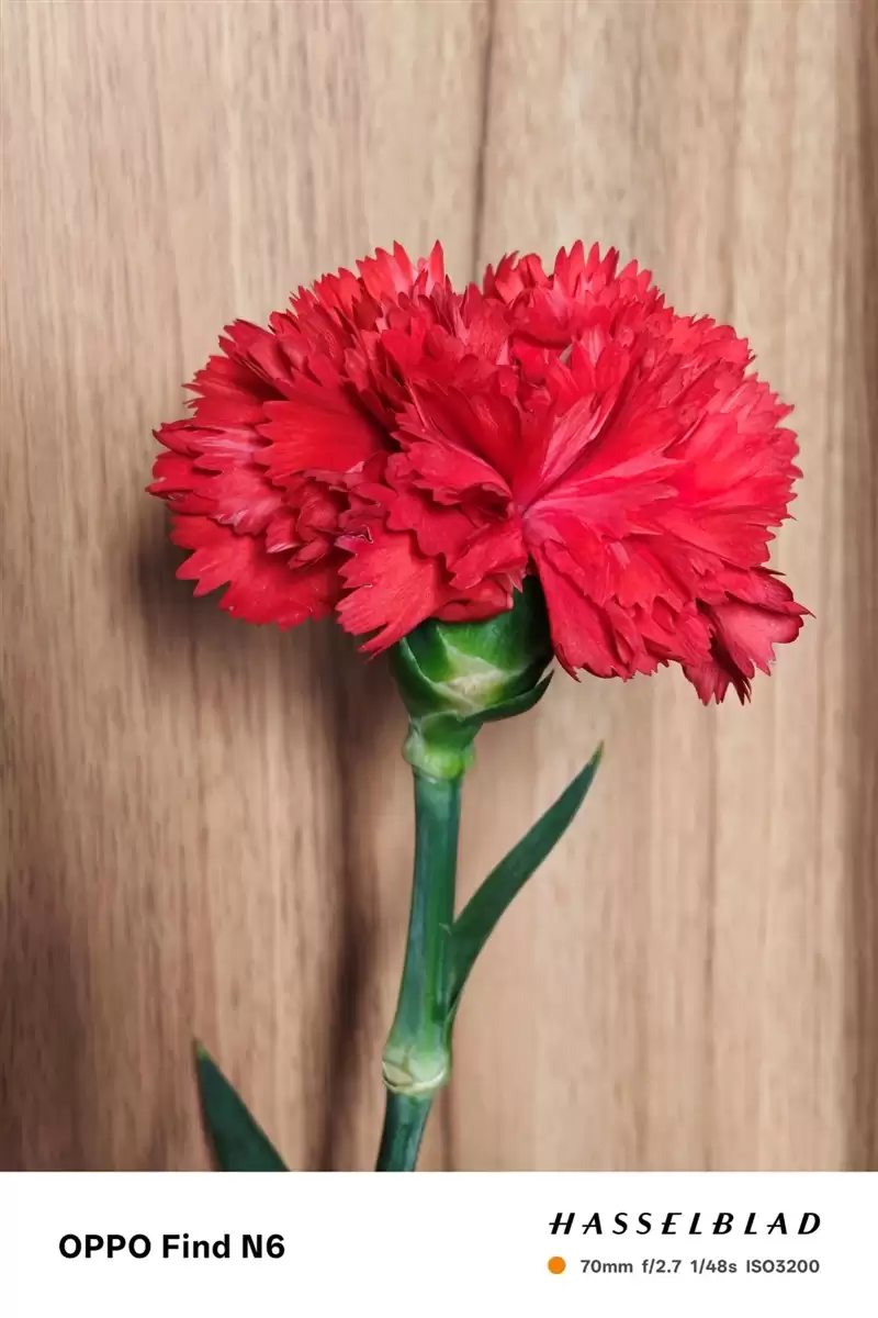 折叠屏再无折痕顾虑!OPPO Find N6手机评测:超平展内屏开创历史 哈苏XPAN模式体验胶卷荣光