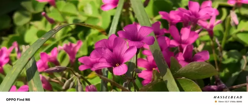 折叠屏再无折痕顾虑!OPPO Find N6手机评测:超平展内屏开创历史 哈苏XPAN模式体验胶卷荣光