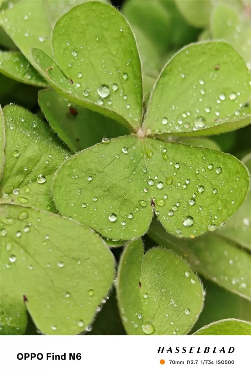 折叠屏再无折痕顾虑!OPPO Find N6手机评测:超平展内屏开创历史 哈苏XPAN模式体验胶卷荣光