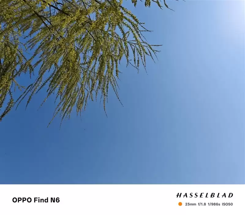 折叠屏再无折痕顾虑!OPPO Find N6手机评测:超平展内屏开创历史 哈苏XPAN模式体验胶卷荣光