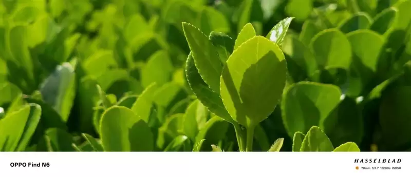 折叠屏再无折痕顾虑!OPPO Find N6手机评测:超平展内屏开创历史 哈苏XPAN模式体验胶卷荣光