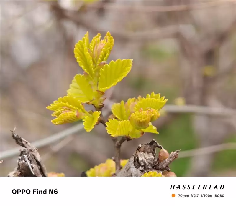 折叠屏再无折痕顾虑!OPPO Find N6手机评测:超平展内屏开创历史 哈苏XPAN模式体验胶卷荣光