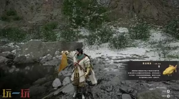 红色沙漠黄金鲤鱼钓取位置及价值 黄金鲤鱼在哪钓