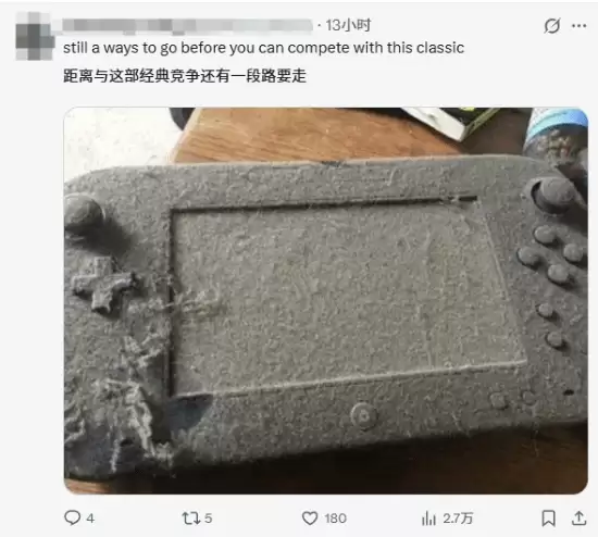 Switch吃灰四年照片引热议!日本网友晒长毛同款