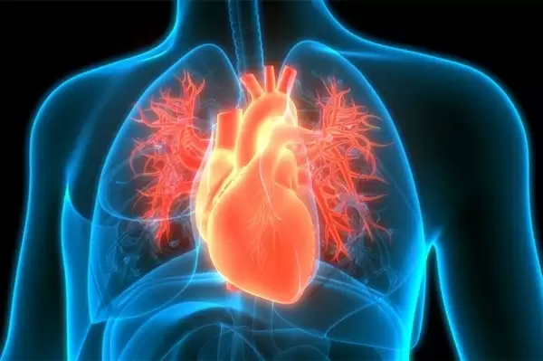 跑步猝死风险警示：中年人群需警惕隐匿性心血管隐患