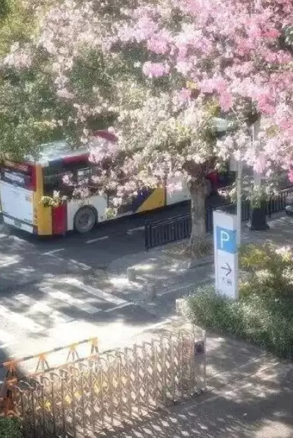 韩国网友偷广州街景图称是首尔!浏览破百万后引争议删除