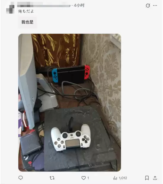 Switch吃灰四年照片引热议!日本网友晒长毛同款