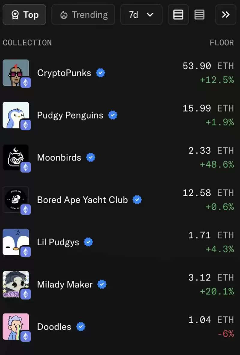 NFT 迎来文艺复兴,Solana 联创猛浇冷水?