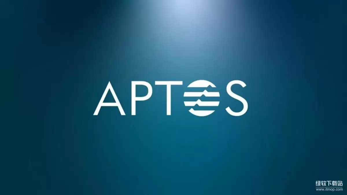 Aptos网络架构与治理流程示意图