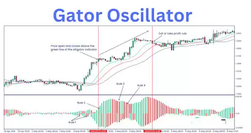 比尔·威廉姆斯是谁,为什么他的指标很重要？比尔·威廉姆斯的关键交易指标有哪些？