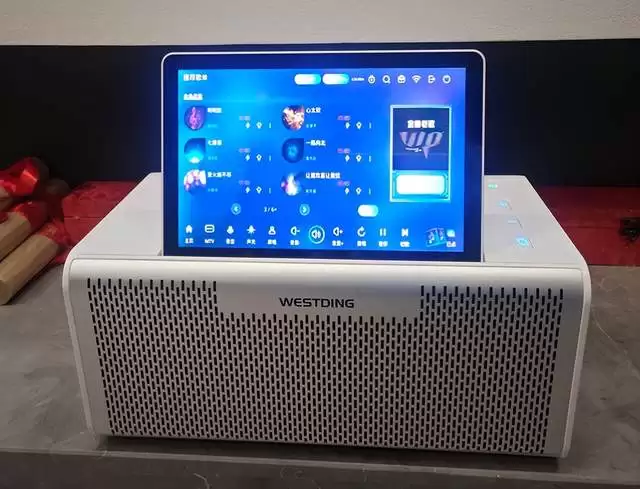 2026年带屏K歌音响推荐：从入门到高配怎么挑不踩雷