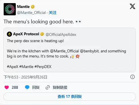 ApeX 币是什么？9月币价为何暴涨5倍？技术特色、未来展望全方位解析