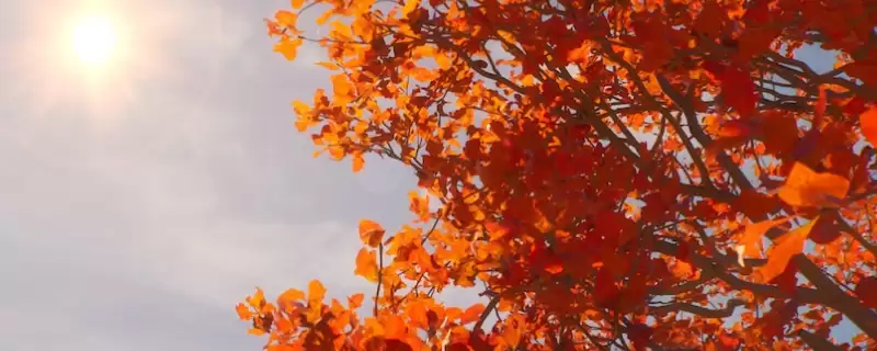 《奇异人生：重聚》结局成就解锁指南