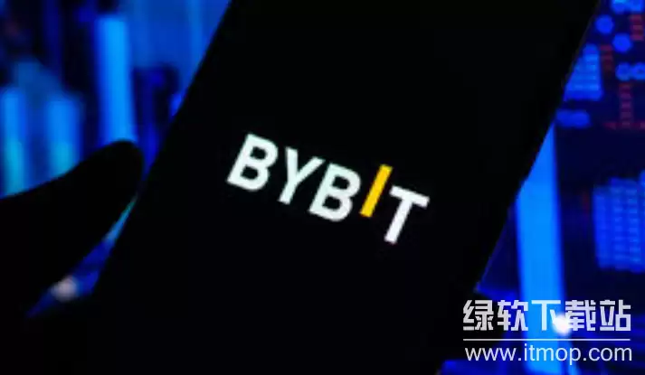 FireShot Capture 002 - Bybit - Google 搜索 - [www.google.com].png