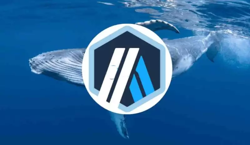 比特币的替代币一览