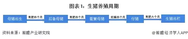 图表1：生猪养殖周期