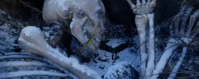 《红色沙漠》黑暗引路人获取攻略分享