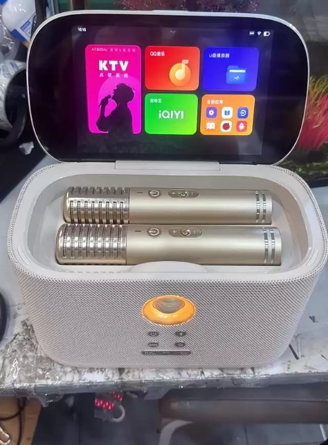 2026年带屏K歌音响推荐：从入门到高配怎么挑不踩雷