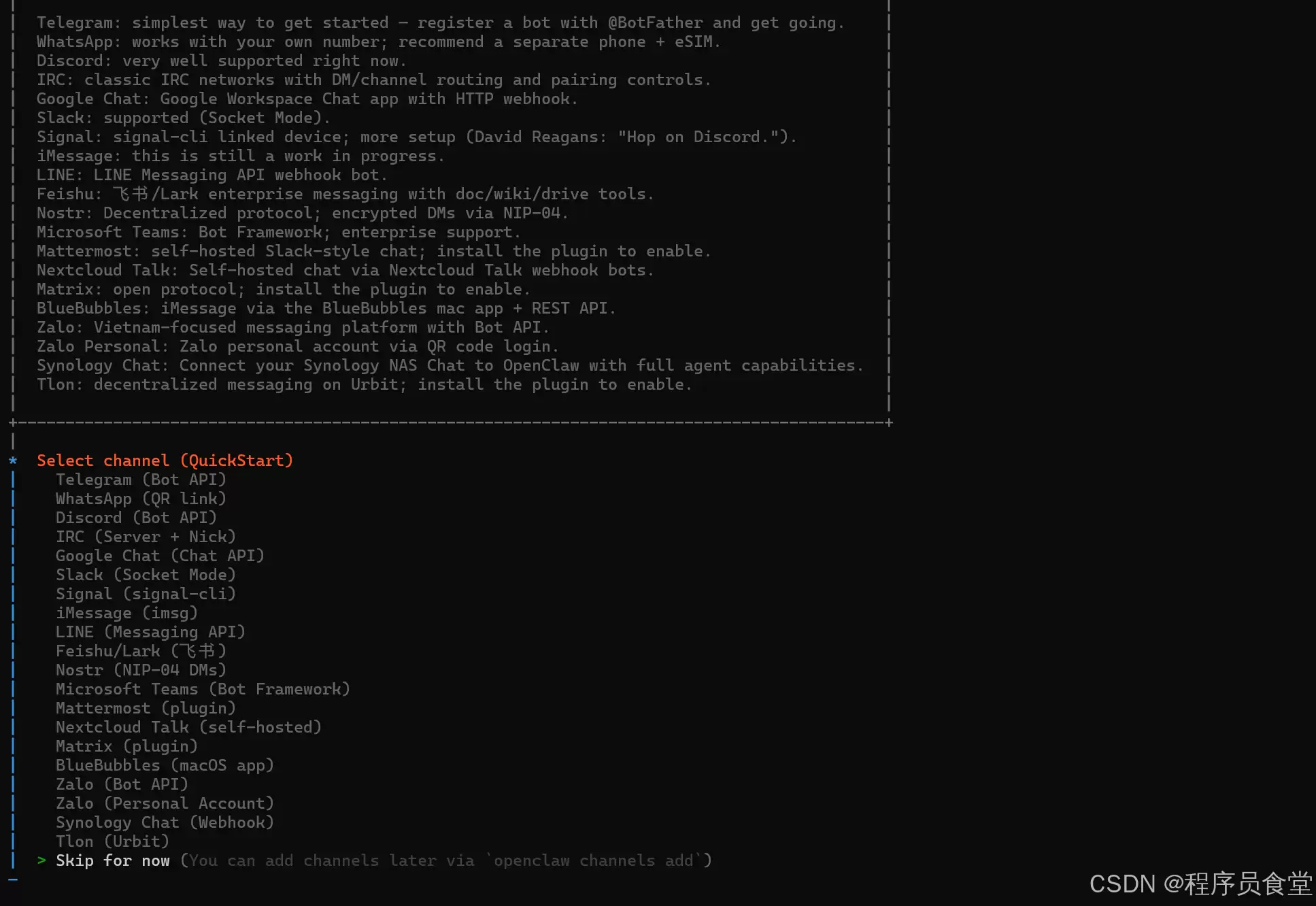 Channel配置选择界面，选择Skip for now
