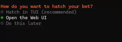OpenClaw服务启动方式选择界面示意图