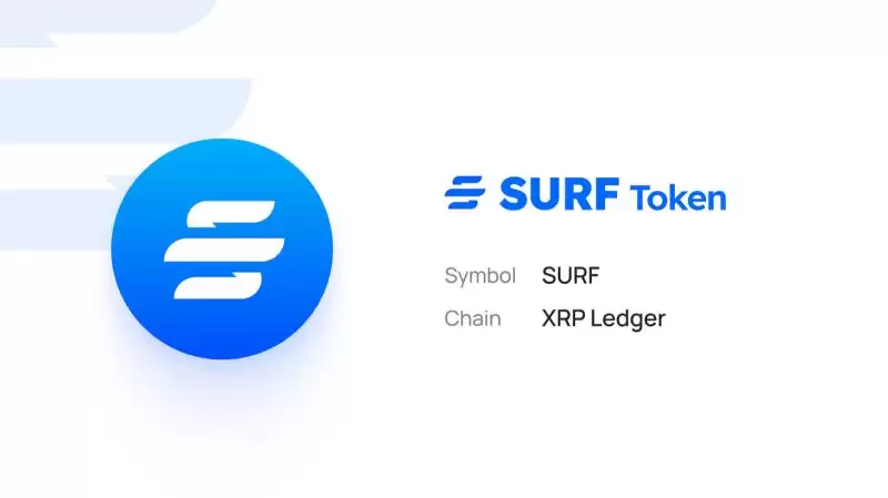 Marina Protocol(BAY)币上线详情