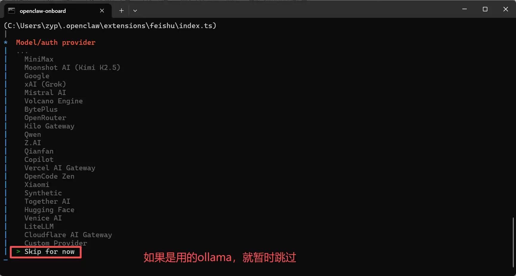 配置向导进入飞书设置环节的界面