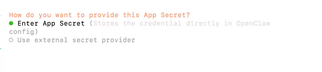 输入飞书App Secret截图