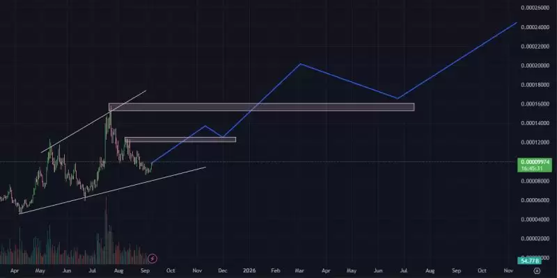 Floki INU (FLOKI)币价格预测