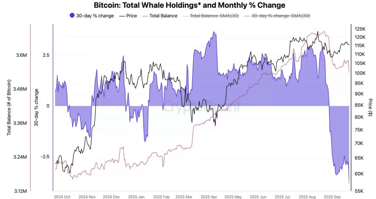 巨鲸抛售潮：比特币破10万？