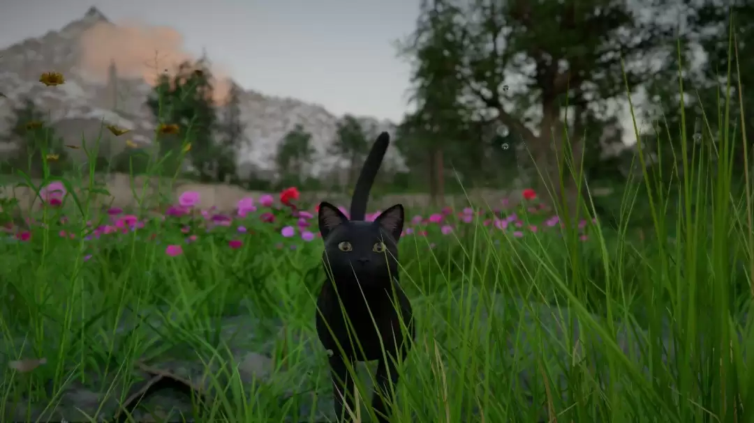 240格也不够!《红色沙漠》背包问题依旧让人恼火