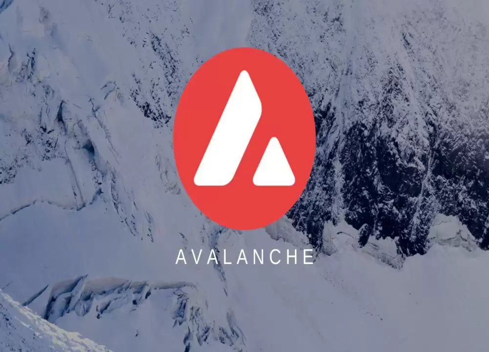 Avalanche（AVAX）雪崩协议核心功能与代币经济学深度图解
