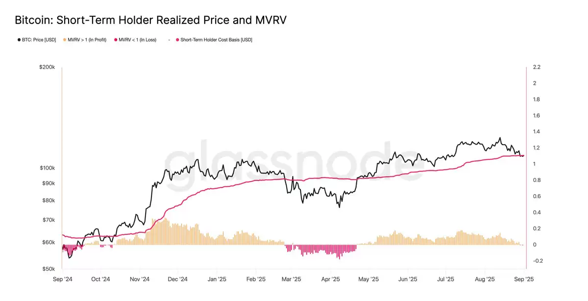 BTC罕见底部信号介绍