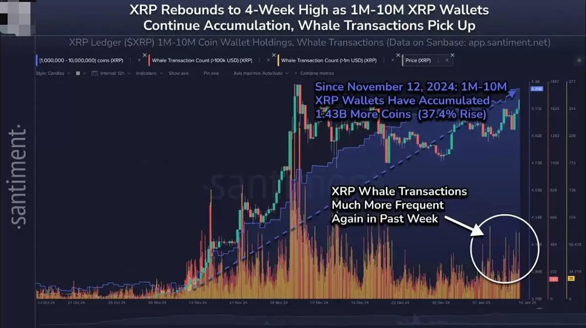 XRP巨鲸地址持续增持数据