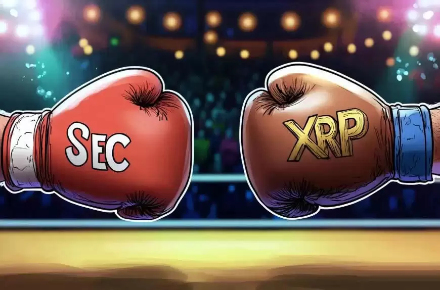 XRP监管前景明朗化，推动价格上涨