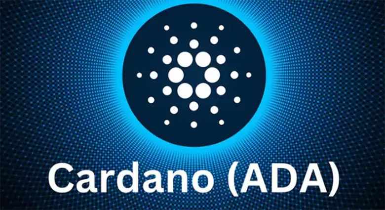 Cardano(ADA)币未来展望:ETF、生态系统和价格预测介绍