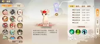 妖错图强力伙伴怎么推荐