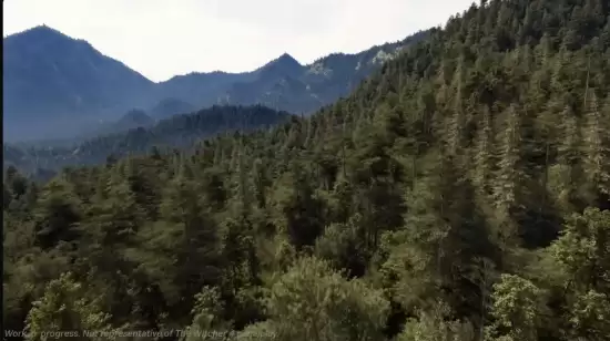 《巫师4》新技术演示曝光!RTX 5090跑4K/80帧