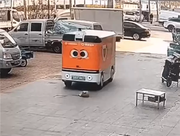 小狗躺路上睡觉 无人送货车未识别从其身上碾过!如何判责引热议