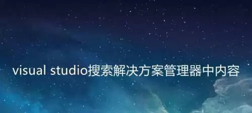 vs解决方案管理器中的内容怎么搜索使用