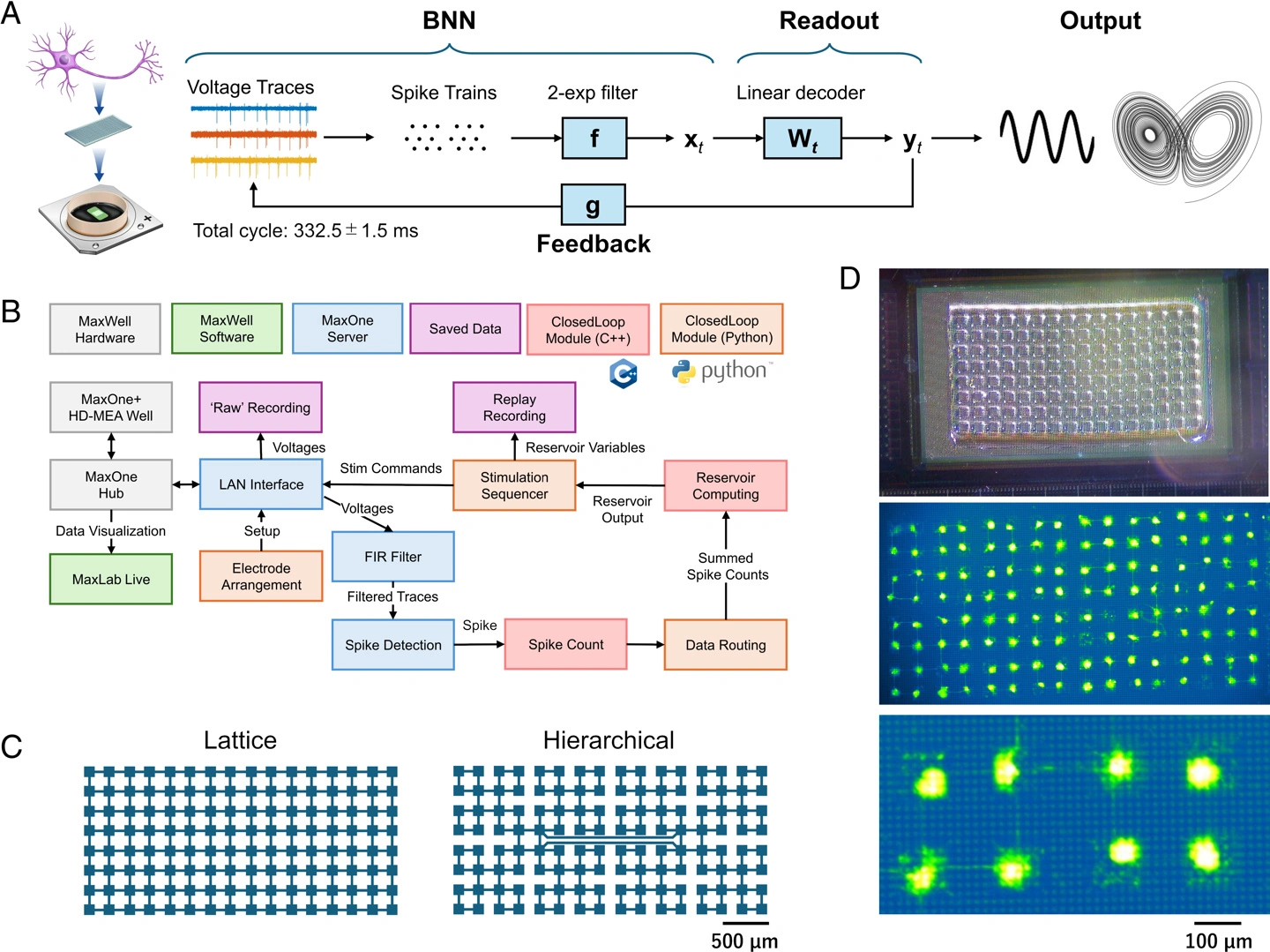 日本团队训练大鼠神经元，可实时执行AI计算任务