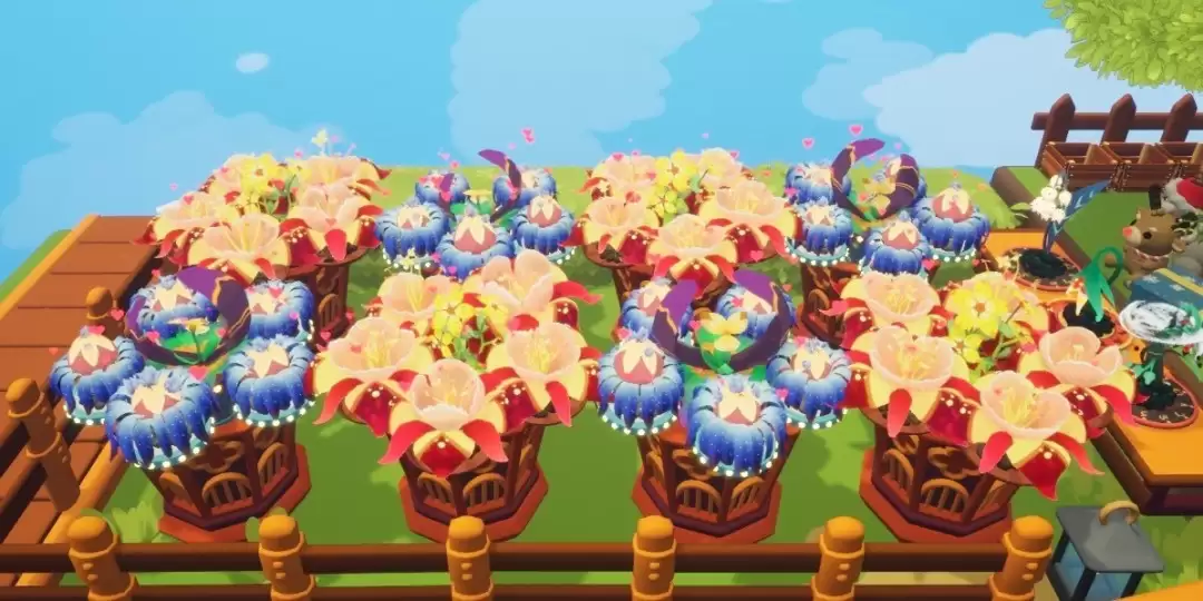 《Gardenin》换盆的妙用分享